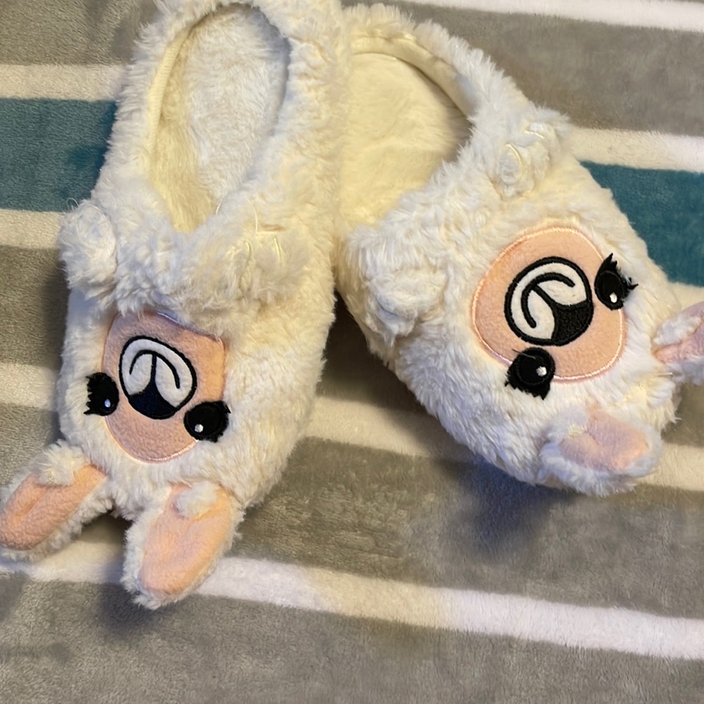 Slippers